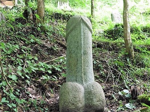上日野鹿島神社 (15)