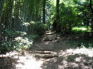 十二所神社２ (2)