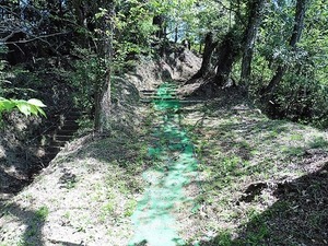 松井田琴平宮 (5)