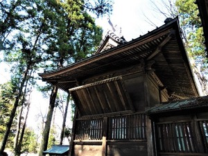 大宮神社 (4)