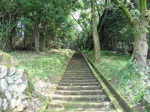 芦田町神明宮 (2)