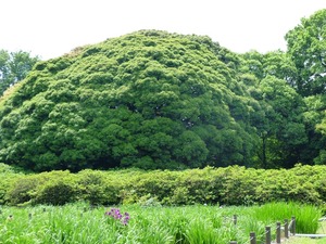 館林城出土墓石群 (3)