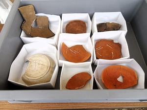 保美西浦遺跡 (6)