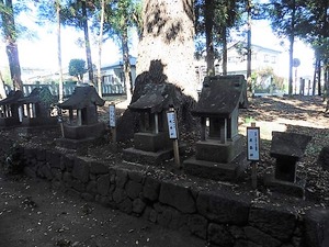 金古諏訪神社 (10)