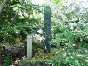 堀口飯玉神社 (5)