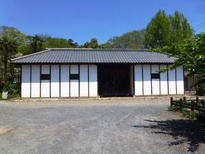 光恩寺 (1)