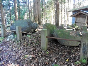 金井一宮神社 (8)