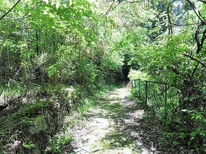 野宮神社 (4)