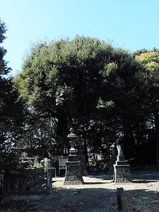 井出上神社 (8)