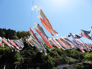 神流町 鯉のぼり (3)