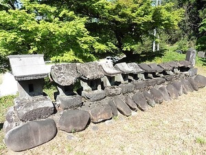人見大宮神社 (5)