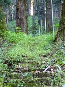 吉岡神社 (7)