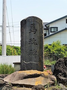 藤川稲荷神社 (7)