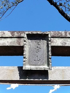川端愛宕神社 (5)
