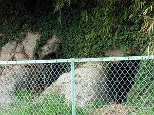 頼母子横穴墓群 (3)