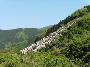 神流町 鯉のぼり (1)