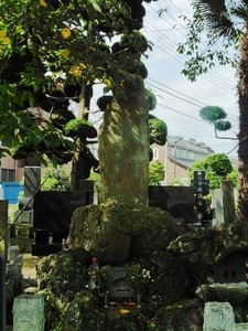 高崎・普門寺 (5)