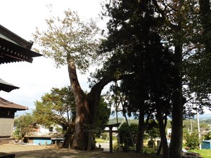 川田神社 (6)