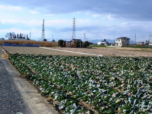 大館氏館跡 (6)