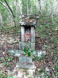 添わずが森 (3)