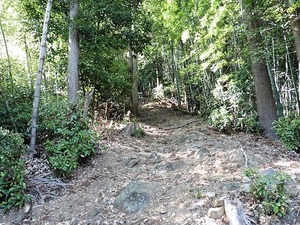 御倉御子神社 (17)