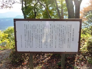 天狗松 (2)
