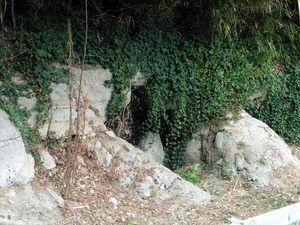 頼母子横穴墓群 (2)