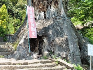 大聖峯寺 (4)