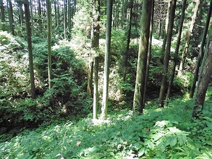 中山城址 (10)