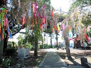 今宮八幡宮 (2)