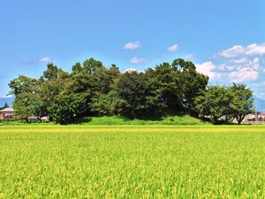 梨ノ木古墳 (1)