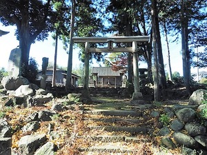 荻窪神社 (1)