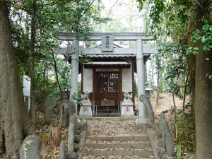 前橋・御霊神社 (2)