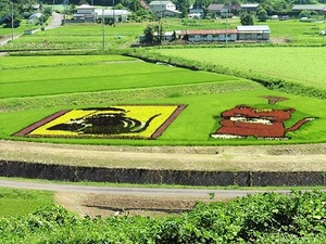 田んぼアート2019