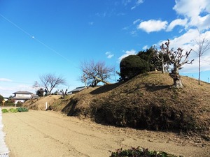 吉田家の土塁 (1)