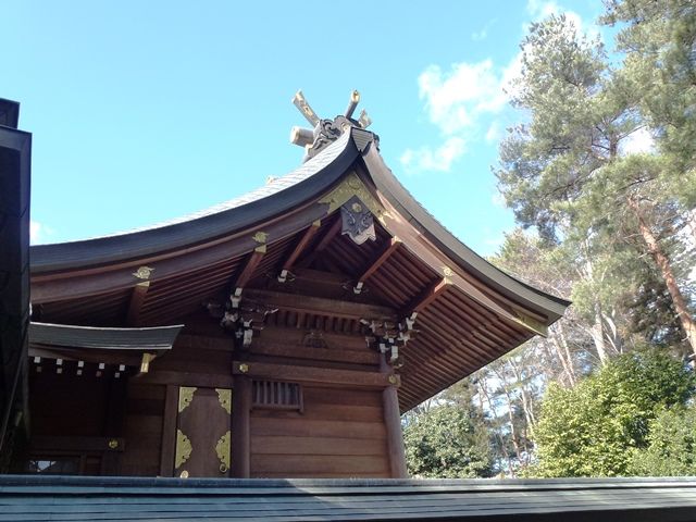 上州まったり紀行May 04, 2013高崎市柴崎町・進雄神社                        Tigerdream