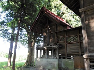 大宮姫神社 (6)