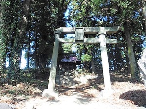 青梨子諏訪神社 (3)