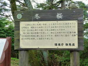 桜山公園 (3)