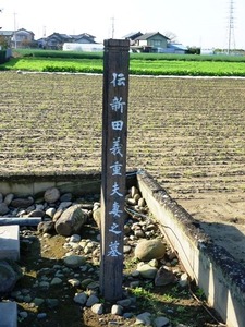 伝新田義重の墓(3)