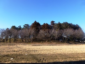 お富士山古墳 (1)