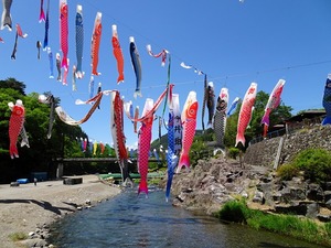 鯉のぼり祭り2026 (6)