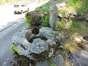 新羽神社 (3)