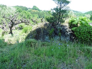 金島の浅間石 (2)