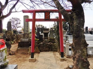 妙真寺 (6)