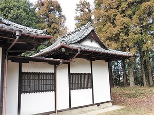 狸塚長良神社 (6)