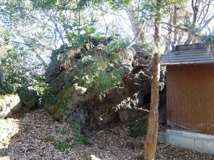 龍神宮 (5)
