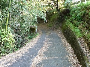 畔宇治神社 (9)