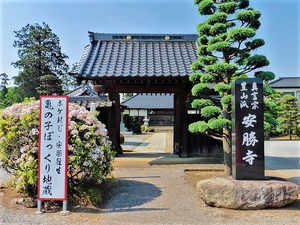 安勝寺 (1)