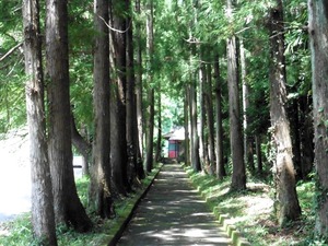 飯綱神社 (4)